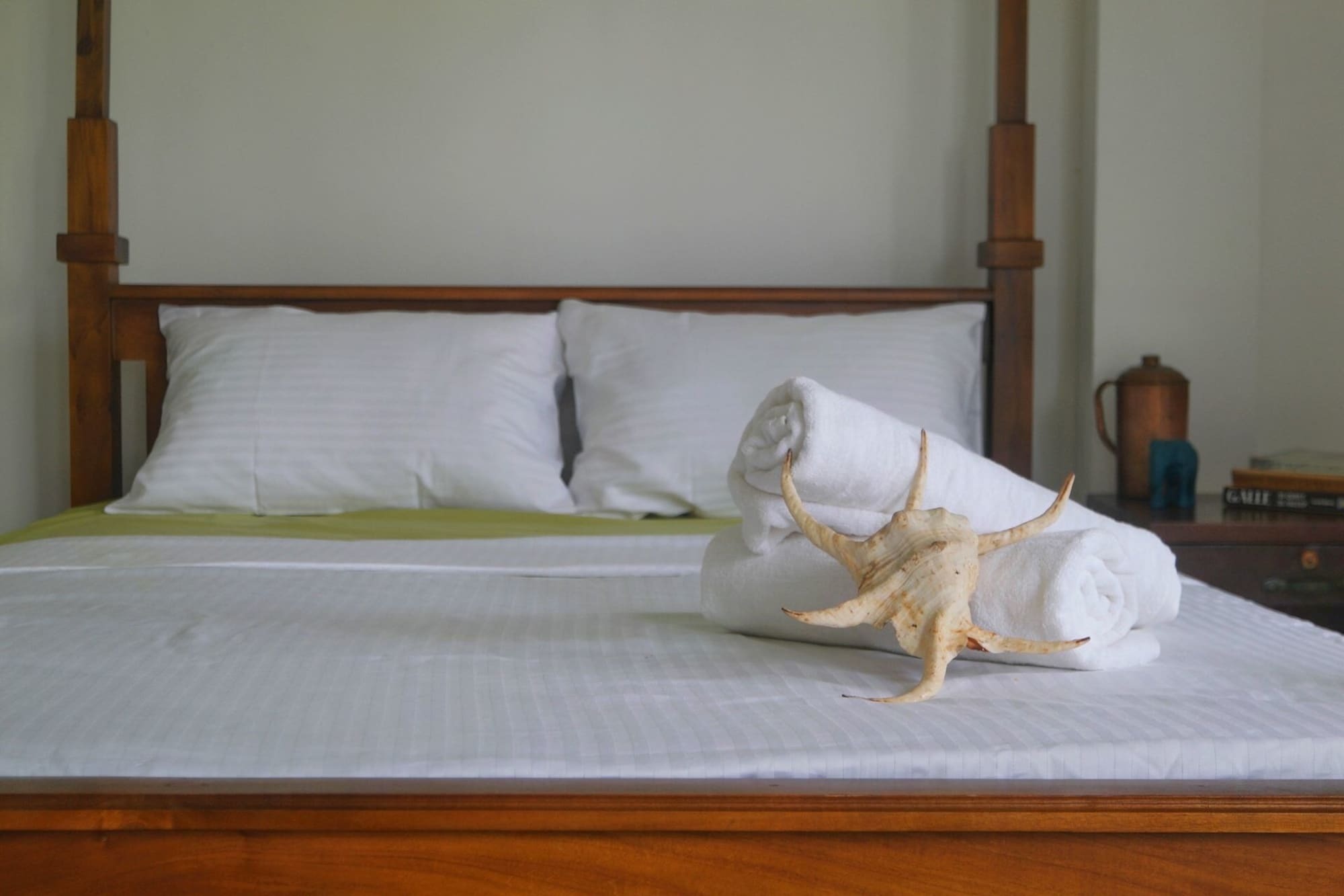 Hotel Pitaya à Weligama Extérieur photo